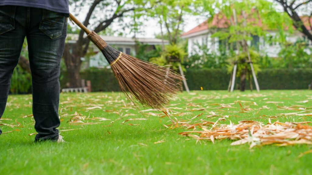 sweeping and cleaning fallen leaves