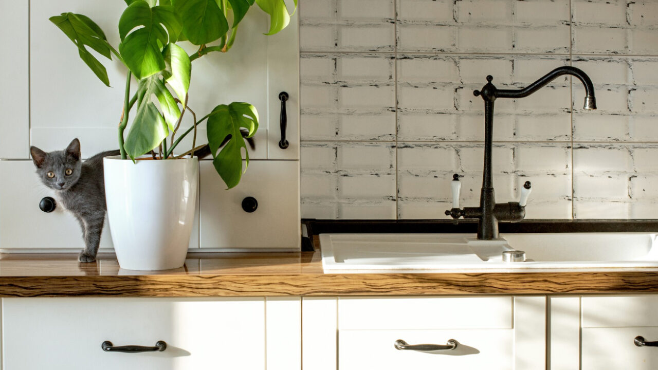 kitchen sink with drawers underneath