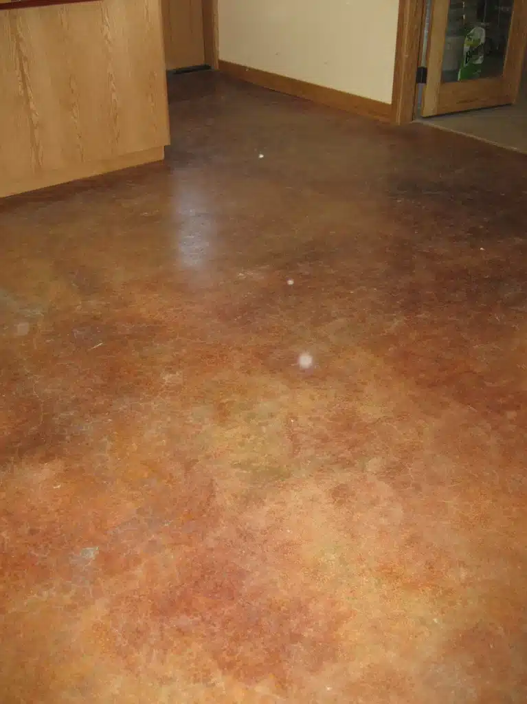 Stained concrete flooring finished in Newberg tasting room
