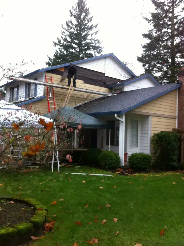 Trim boards removed to expose underlying siding damage