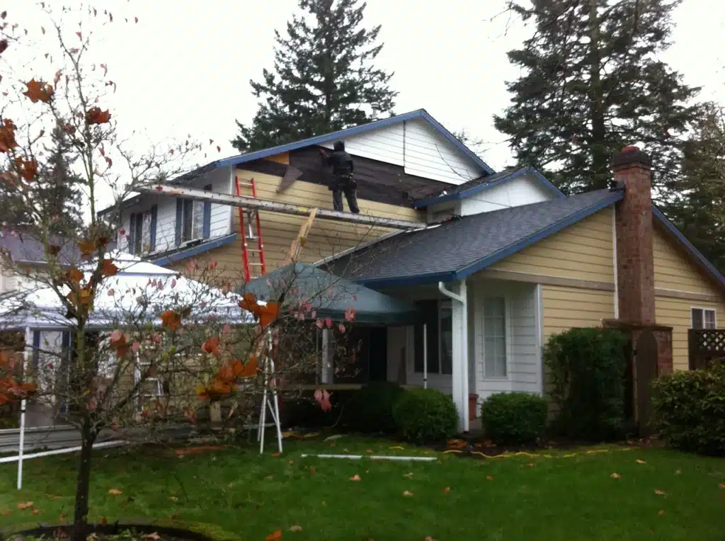 Trim boards removed to expose underlying siding damage